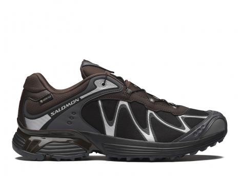 Salomon Xt-Whisper GTX Delicioso / Asphalt / Castlerock L45397800