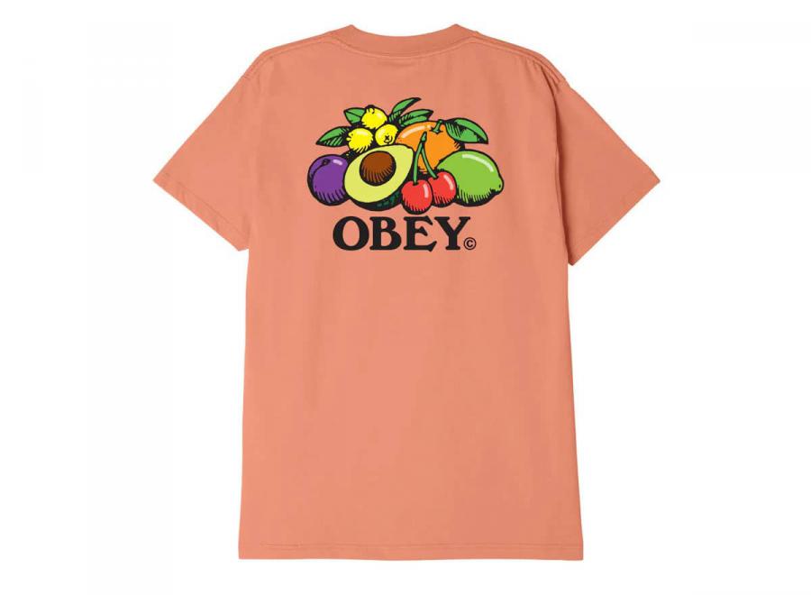 Obey Bowl Of Fruit Classic Tshirt Citrus - Obey