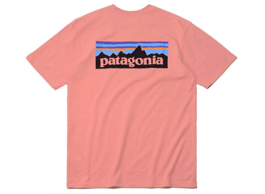 Patagonia P6 Logo Responsibili-Tee Sticker Pink - Patagonia