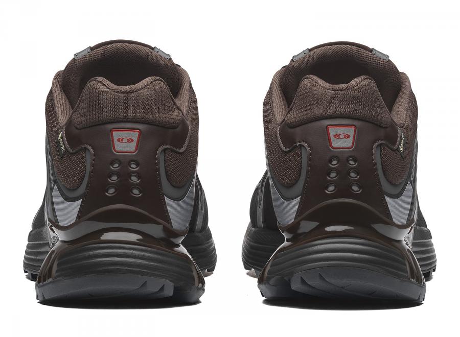 Salomon Xt-Whisper GTX Delicioso / Asphalt / Castlerock L45397800 - Salomon