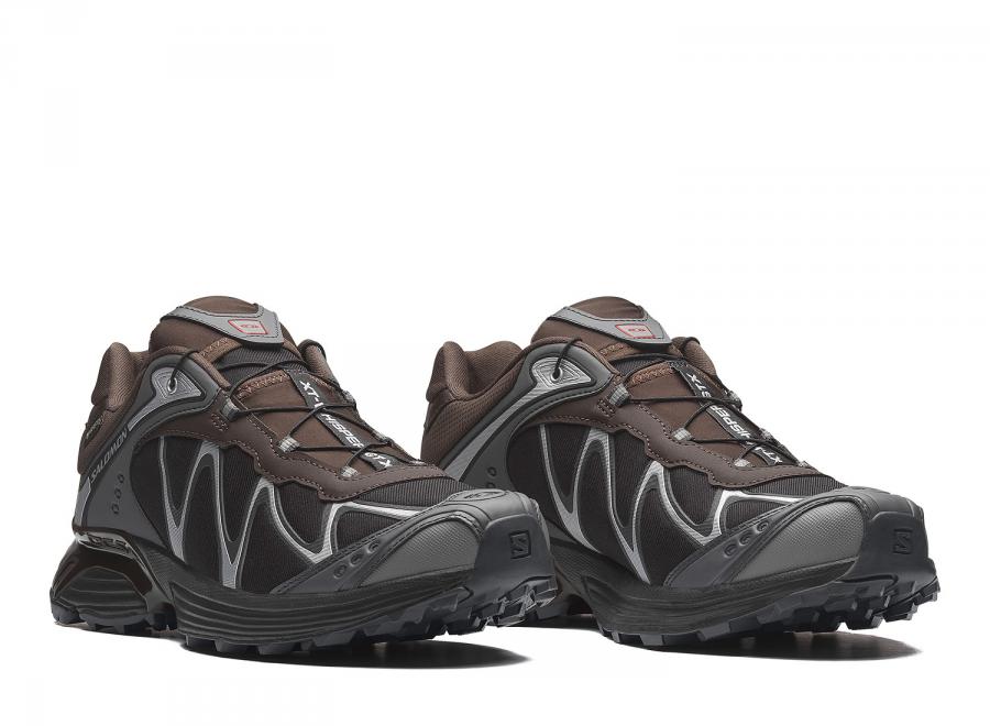Salomon Xt-Whisper GTX Delicioso / Asphalt / Castlerock L45397800 - Salomon