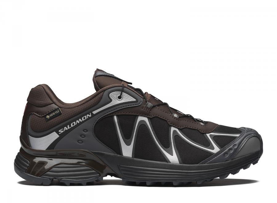Salomon Xt-Whisper GTX Delicioso / Asphalt / Castlerock L45397800 - Salomon
